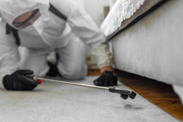 Professional Bed Bug Control technician working in Long Beach, MD