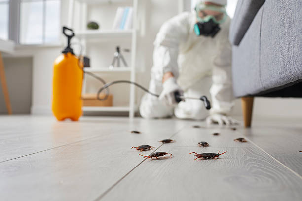 Trusted Fumigation Services service in Long Beach, MD - Nex Pest Control