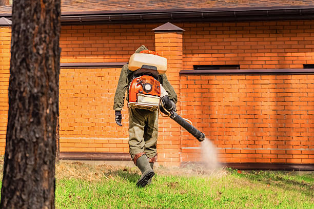 Trusted Ant Control service in Long Beach, MD - Nex Pest Control